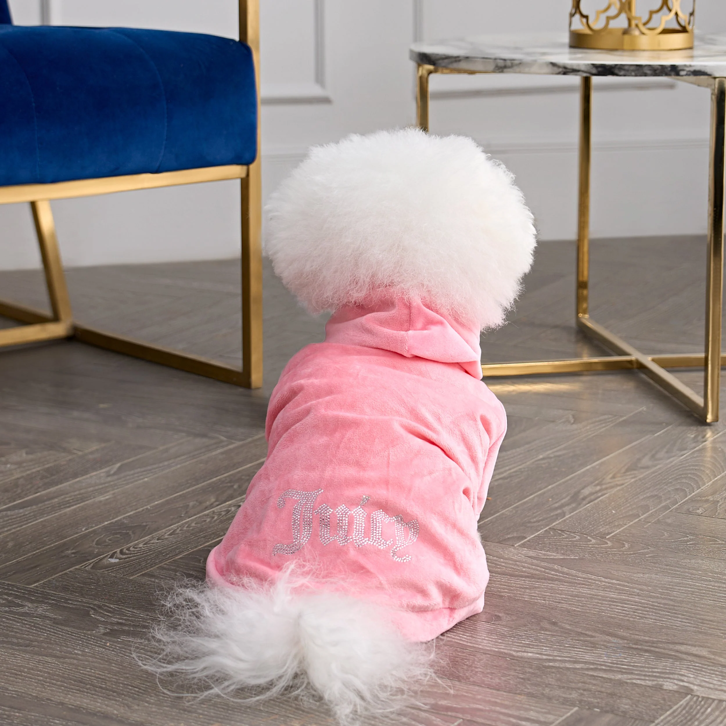Bling Velour Pet Hoodie - Image 2