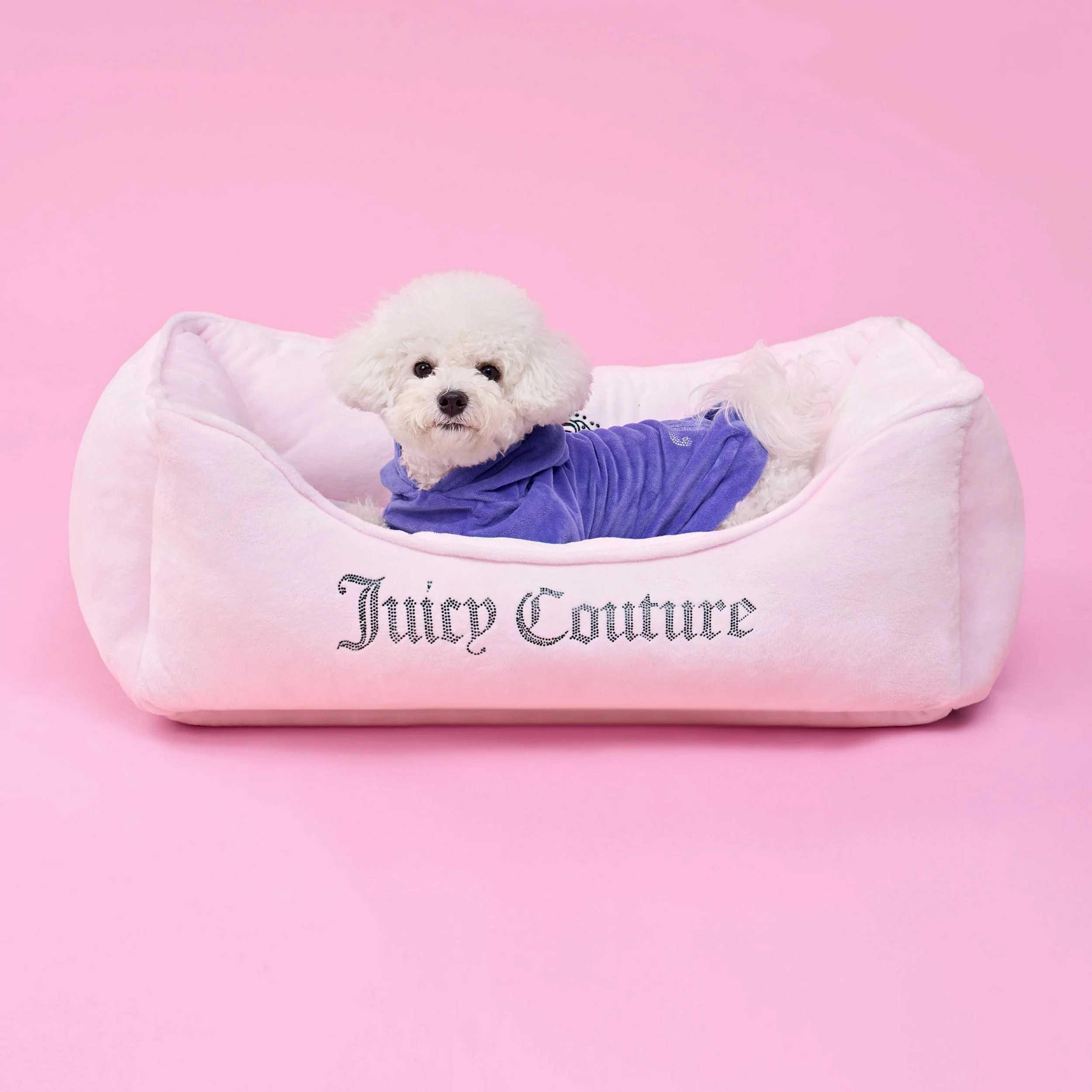 Bling Velour Pet Hoodie - Image 3