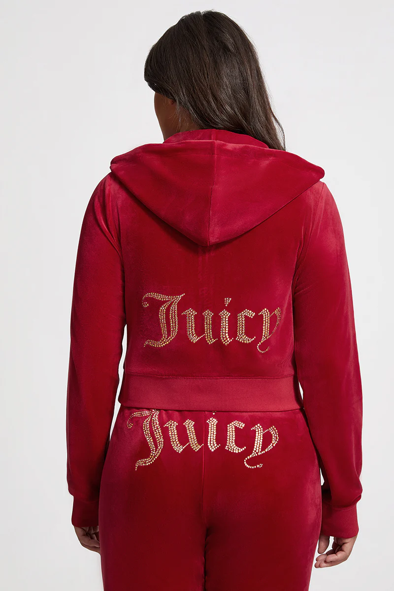 Plus-Size OG Big Bling Velour Hoodie