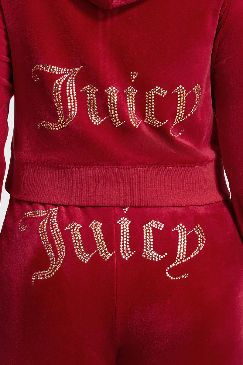 Plus-Size OG Big Bling Velour Hoodie - Image 3